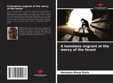 Portada del libro de A homeless migrant at the mercy of the forest