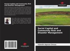 Social Capital and Community Risk and Disaster Management kitap kapağı