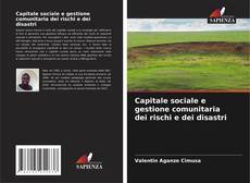 Copertina di Capitale sociale e gestione comunitaria dei rischi e dei disastri