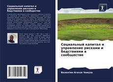 Portada del libro de Социальный капитал и управление рисками и бедствиями в сообществе