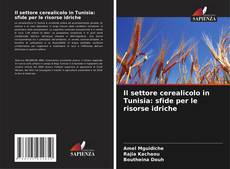 Il settore cerealicolo in Tunisia: sfide per le risorse idriche的封面