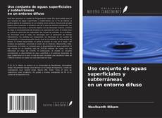 Borítókép a  Uso conjunto de aguas superficiales y subterráneas en un entorno difuso - hoz