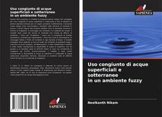 Copertina di Uso congiunto di acque superficiali e sotterranee in un ambiente fuzzy