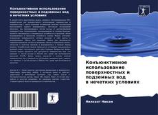 Portada del libro de Конъюнктивное использование поверхностных и подземных вод в нечетких условиях