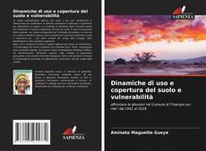 Copertina di Dinamiche di uso e copertura del suolo e vulnerabilità
