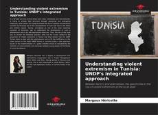 Capa do livro de Understanding violent extremism in Tunisia: UNDP's integrated approach 