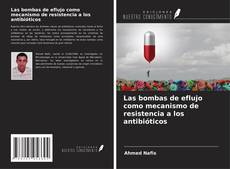 Borítókép a  Las bombas de eflujo como mecanismo de resistencia a los antibióticos - hoz