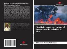 Copertina di Spatial characterization of forest fuel in relation to fire