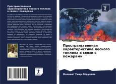 Buchcover von Пространственная характеристика лесного топлива в связи с пожарами