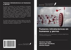 Borítókép a  Tumores intratorácicos en humanos y perros - hoz