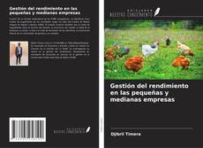 Borítókép a  Gestión del rendimiento en las pequeñas y medianas empresas - hoz