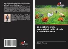 La gestione delle prestazioni nelle piccole e medie imprese kitap kapağı