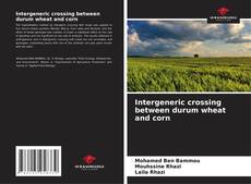 Buchcover von Intergeneric crossing between durum wheat and corn