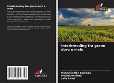 Interbreeding tra grano duro e mais的封面
