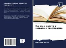 Эхо стен: паркур в городском пространстве kitap kapağı