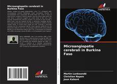 Bookcover of Microangiopatie cerebrali in Burkina Faso
