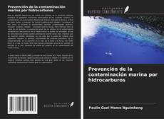 Prevención de la contaminación marina por hidrocarburos kitap kapağı