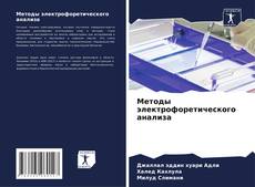 Методы электрофоретического анализа kitap kapağı