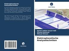 Elektrophoretische Analysetechniken kitap kapağı