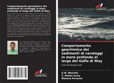 Bookcover of Comportamento geochimico dei sedimenti di carotaggi in mare profondo al largo del Golfo di Way