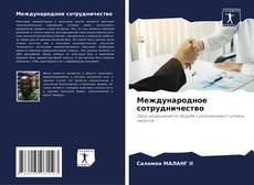 Международное сотрудничество kitap kapağı