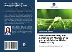 Wiederverwendung von gereinigtem Abwasser in der landwirtschaftlichen Bewässerung kitap kapağı