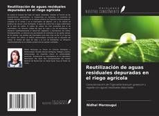 Buchcover von Reutilización de aguas residuales depuradas en el riego agrícola