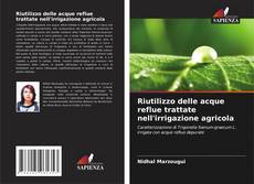Обложка Riutilizzo delle acque reflue trattate nell'irrigazione agricola