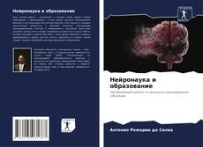 Нейронаука и образование kitap kapağı