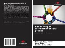 Risk sharing or coordination of fiscal policies kitap kapağı