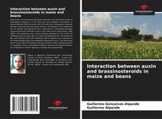 Interaction between auxin and brassinosteroids in maize and beans kitap kapağı