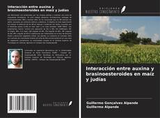 Borítókép a  Interacción entre auxina y brasinoesteroides en maíz y judías - hoz