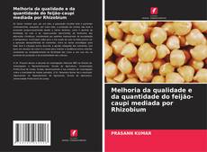 Couverture de Melhoria da qualidade e da quantidade do feijão-caupi mediada por Rhizobium