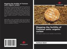 Mapping the fertility of Tunisian soils: organic carbon kitap kapağı