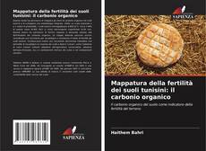 Обложка Mappatura della fertilità dei suoli tunisini: il carbonio organico