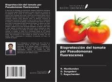 Borítókép a  Bioprotección del tomate por Pseudomonas fluorescenes - hoz