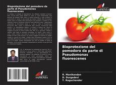 Borítókép a  Bioprotezione del pomodoro da parte di Pseudomonas fluorescenes - hoz