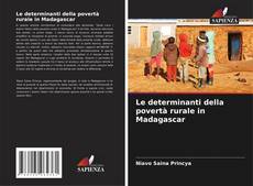 Le determinanti della povertà rurale in Madagascar kitap kapağı