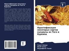Обложка Идентификация некоторых сортов кукурузы из Того и Буркина