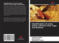 Bookcover of Identification of some maize cultivars from Togo and Burkina