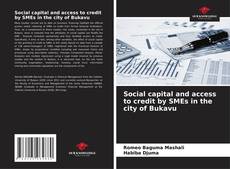 Обложка Social capital and access to credit by SMEs in the city of Bukavu