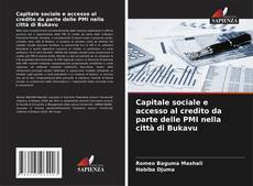 Capitale sociale e accesso al credito da parte delle PMI nella città di Bukavu的封面
