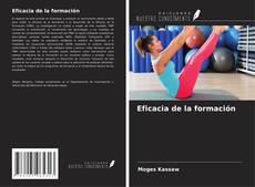 Bookcover of Eficacia de la formación