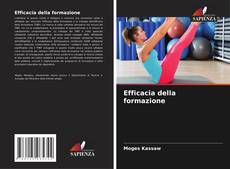 Bookcover of Efficacia della formazione