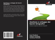 Gestione e sviluppo dei bacini idrografici的封面