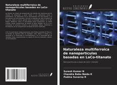 Buchcover von Naturaleza multiferroica de nanopartículas basadas en LaCo-titanato