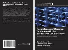 Copertina di Naturaleza multiferroica de nanopartículas basadas en LaCo-titanato