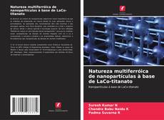 Capa do livro de Natureza multiferróica de nanopartículas à base de LaCo-titanato 