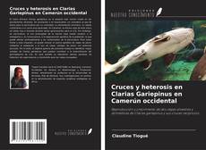 Buchcover von Cruces y heterosis en Clarias Gariepinus en Camerún occidental
