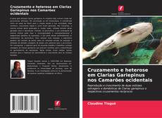 Couverture de Cruzamento e heterose em Clarias Gariepinus nos Camarões ocidentais